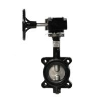 BFV-Lug – Jomar Valve